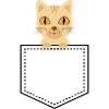 Pocket animal cat tabby