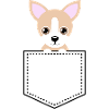 Pocket Animal Chihuahua