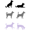 6 dogs