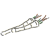 horseradish