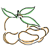 Mandarine