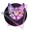 Space cat