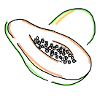 papaya