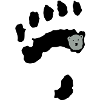 Polar Bear Paw +