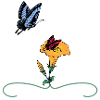 Papillons d'été