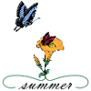 Papillons d'été
