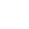 roller-skate