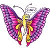 Coolorful Butterfly