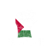 Palestine fist