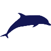 Dolphin Vector