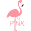 Flamingo in pink