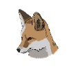 Fox, drawing, gift idea