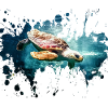Turtle splash