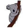 Koala Mittelfinger Tiere Geschenkidee