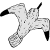 mouette