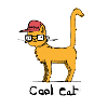 Cool Cat