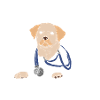 I'ma Dogtor