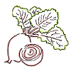 beetroot