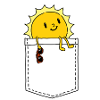 sun pocket
