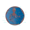 Octopus is dancing