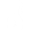 Woman body