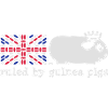 Ruled By Guinea Pigs (Jubilee)