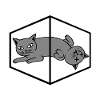 Schroedinger's Cat Schrödinger's Cat Physics