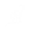 Chat chaton chaton miaou cadeau