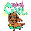 Stay Cool!