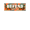 "DEFEND PALESTINE" Camouflage T-Shirt