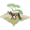 Fuchs , Rotfuchs Motiv