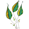 Decorative leaves