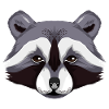 racoon