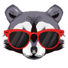 Raccoon with sunglasses
