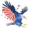 July 4 Adler