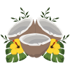 Summer coconut
