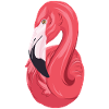 Flamingo été / été / soleil