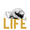 Mole life