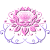 Lotus blomst, lotus med blade. Yoga.