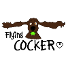 Cocker Spaniel Cute Flying Cocker