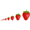 strawberries
