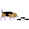 Beagle Mantrailer