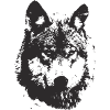 illustration black wolf t