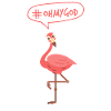 Flamingo #ohmygod