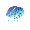 EXCEL brain - brain