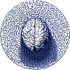 Brain Maze