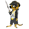 Pirate rascal