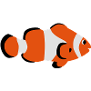 Clown fish