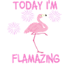 Today I'm Flamazing