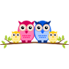 Owl family two kids